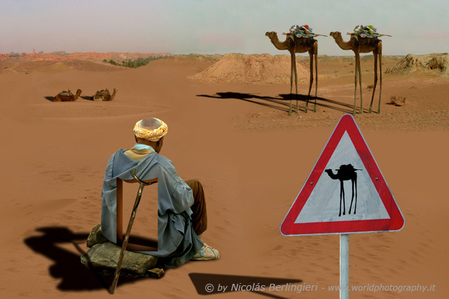 Dali's camels