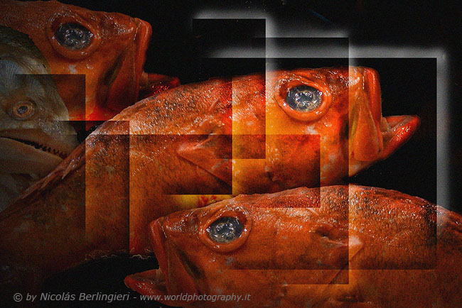 Cubism Fishes 4